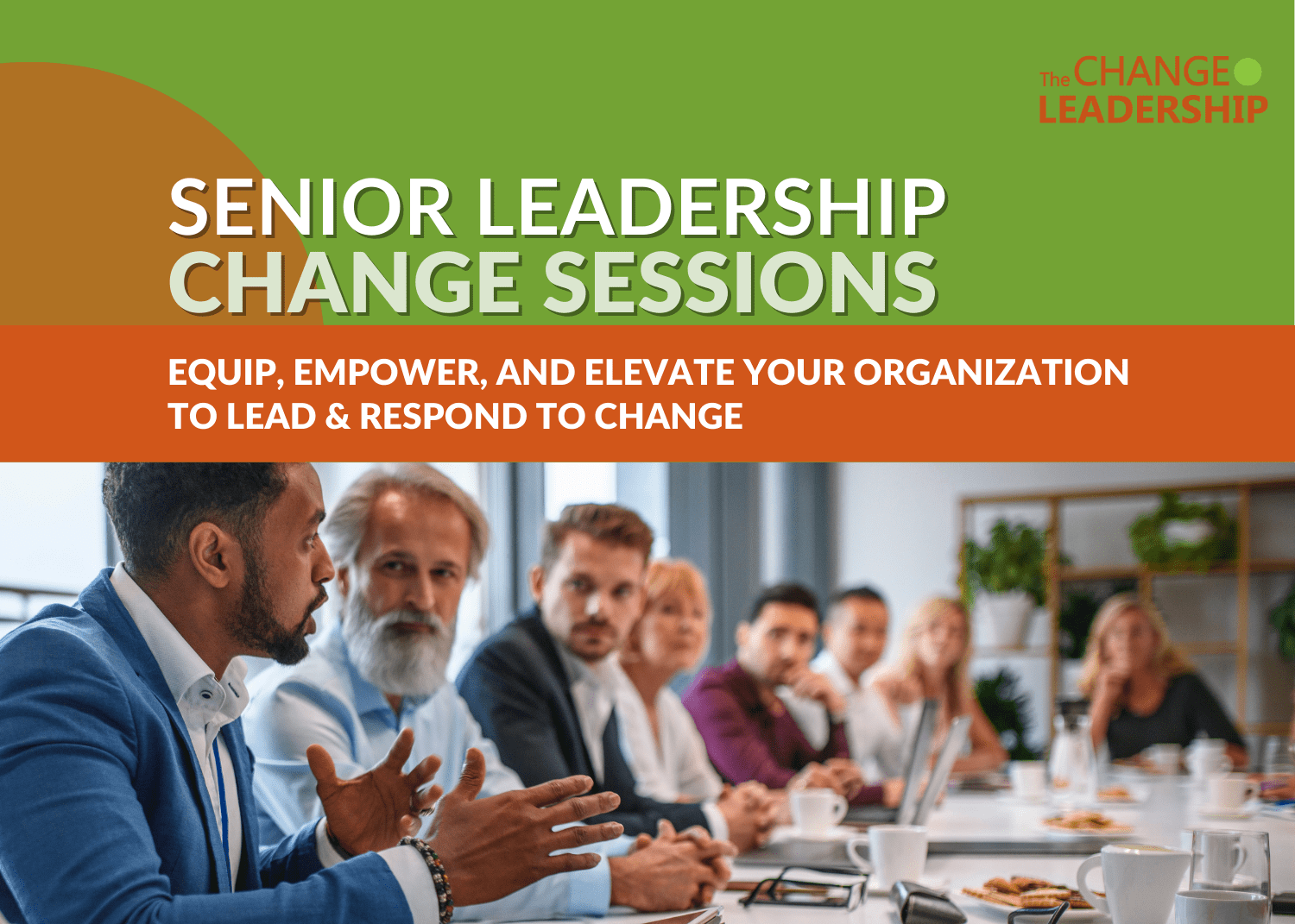 Senior Change Leadership-3
